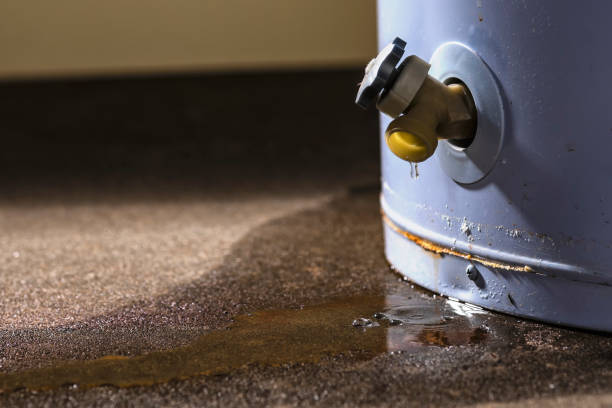 Best 24/7 water damage repair  in Caseyvle, IL