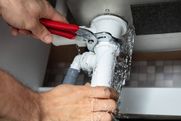 Best Commercial water damage restoration  in Caseyvle, IL