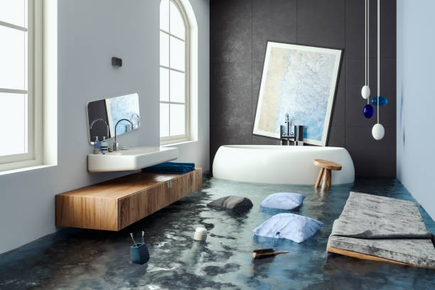 Best Water damage restoration cost  in Caseyvle, IL