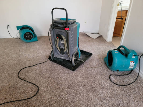 24/7 water damage repair in Caseyville, IL