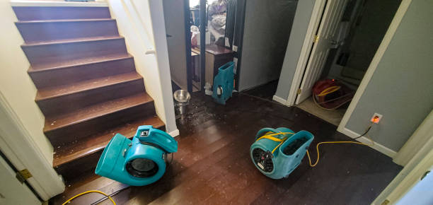 Best Basement water damage restoration  in Caseyvle, IL