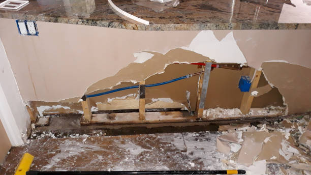 Best Fire Damage Restoration  in Caseyvle, IL