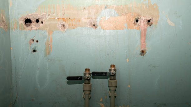 Best Residential water damage restoration  in Caseyvle, IL