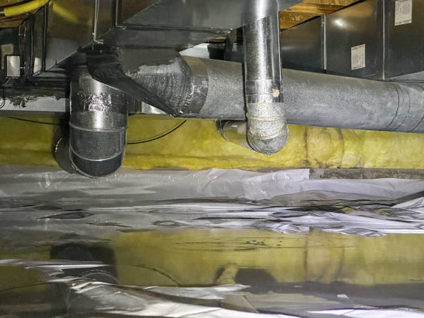 Best Residential water damage restoration  in Caseyvle, IL