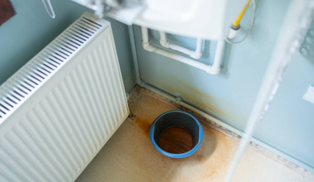 Best Emergency water extraction  in Caseyvle, IL