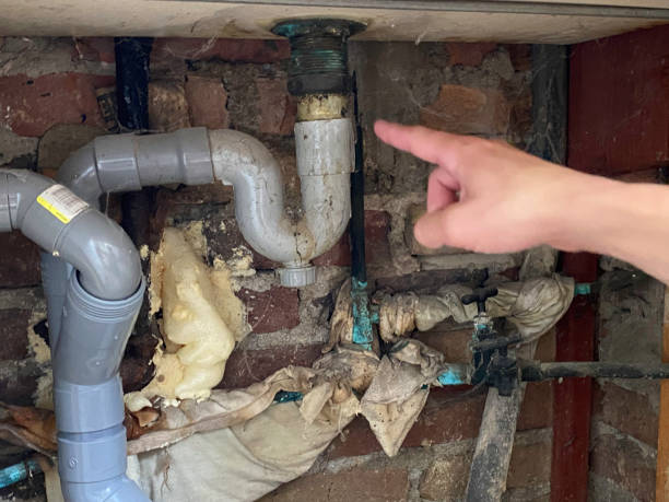Best Professional water damage repair  in Caseyvle, IL